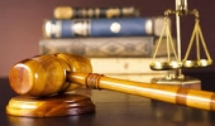 The role of the Federal Court in the development of UAE administrative law